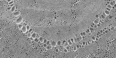 viber_image_2024-11-21_16-07-40-582